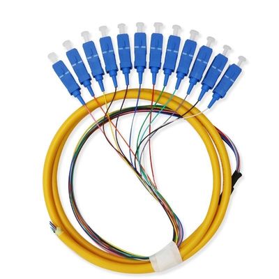 comprare 12 Core Single Mode SC Fiber Pigtail Cable per reti Sistema di comunicazione flessibile fabbricazione online