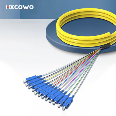 comprare HXCOWO SC Fanout SM 12 Core Fibra Ottica Bundle Treccia PVC LSZH Lunghezza d'onda 850nm/1310nm/1550nm fabbricazione online