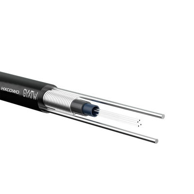 comprare Lunghezza personalizzata GYXTW Cavo in fibra ottica per il progetto della telecamera di sorveglianza aerea esterna Tipo di fibra G652D/G657A1/G657A2 4-12 Core fabbricazione online