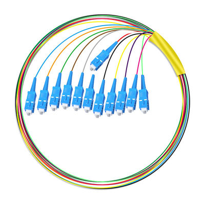 comprare HXCOWO 12 Core SC Bundle Tail Single Mode Telecom Grade Head And Tail Pigtail in fibra ottica fabbricazione online