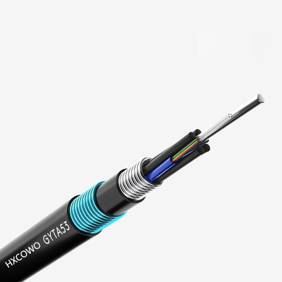 comprare HXCOWO GYTA53 48 Core G652D PE Underground Armored Fiber Optic Cable with LSOH Jacket fabbricazione online