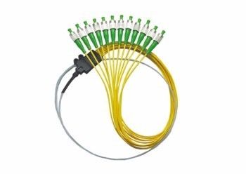 comprare 12Core SM FC/APC Pigtail 3.0mm La soluzione definitiva per connessioni in fibra ottica fabbricazione online